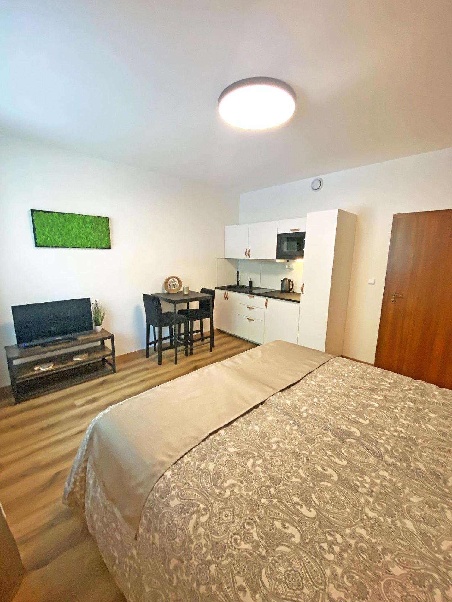 Apartmany Rezac Рокитнице над Ийзероу Екстериор снимка